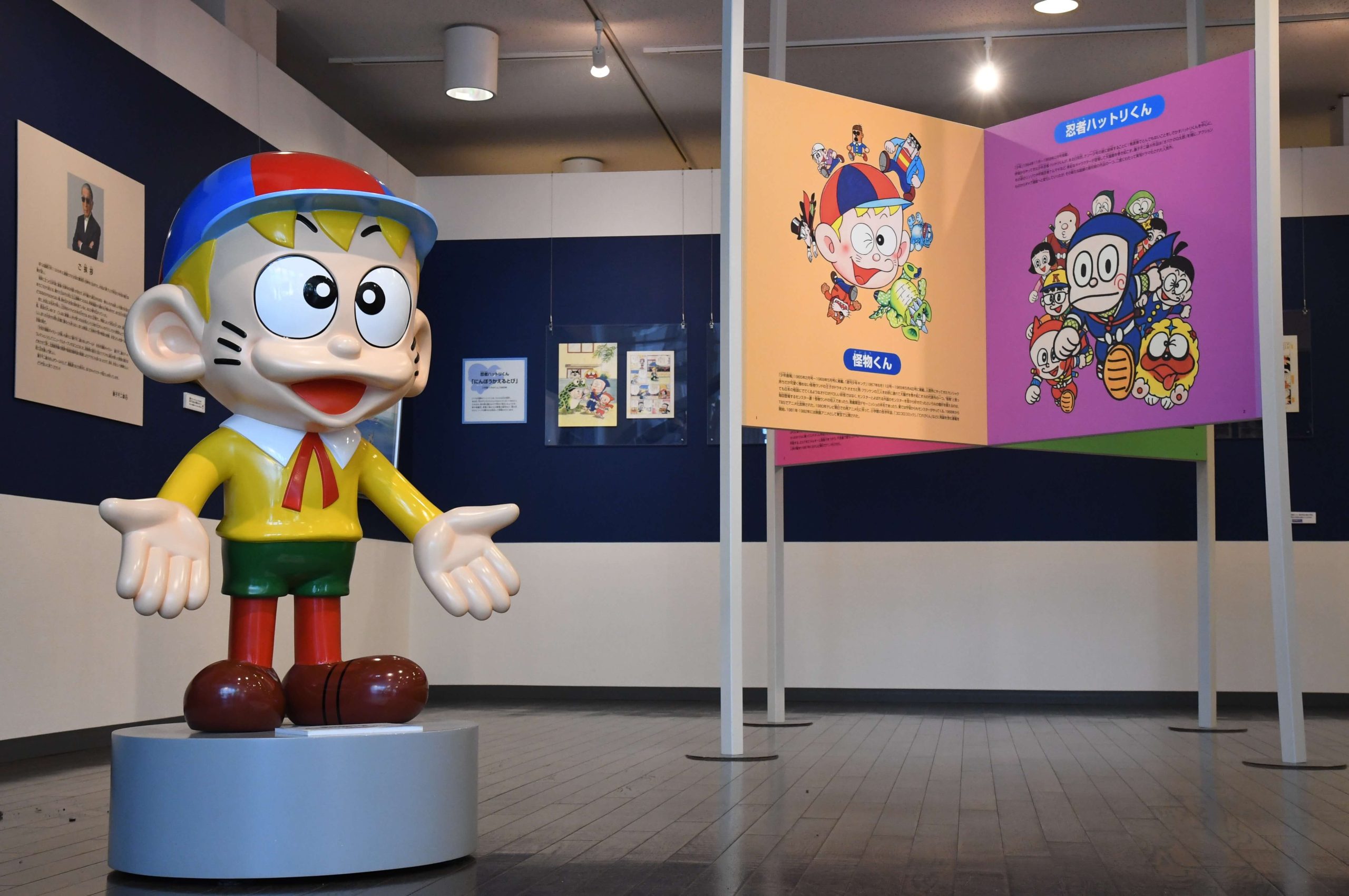 Himi City Shiokaze Gallery FUJIKO FUJIOⒶ Art Collection